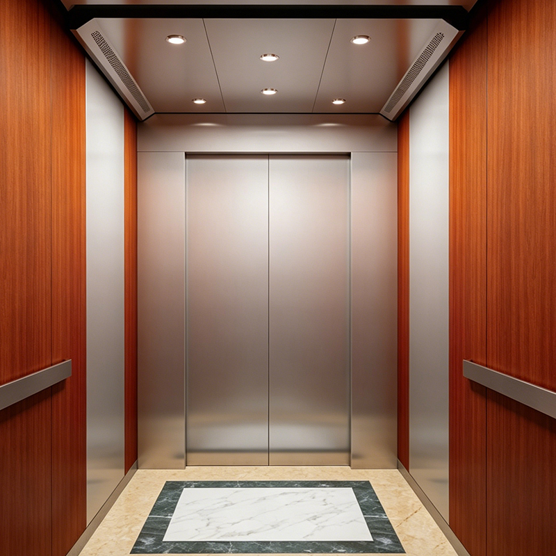 Lift Penumpang Plafon Baja Dicat dengan Lantai PVC